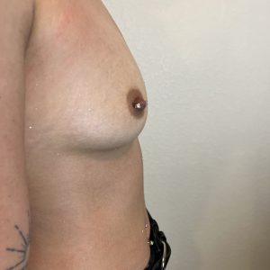 fake sexy tits 4
